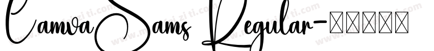 CamvaSams Regular字体转换